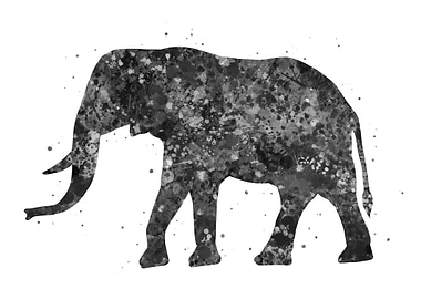 Elephant animal