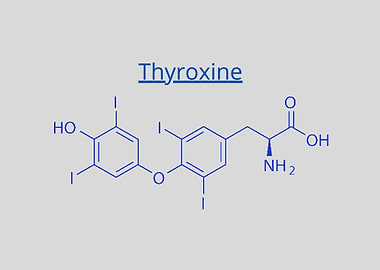 Thyroxine T4 levothyroxi