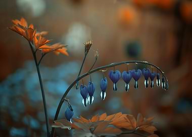 Valentine flowers, hearts