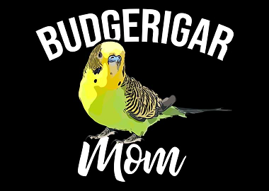 Budgerigar Mom Budgerigar