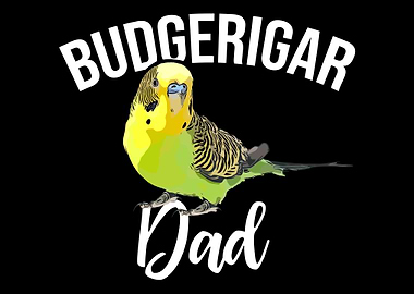 Budgerigar Dad Budgerigar