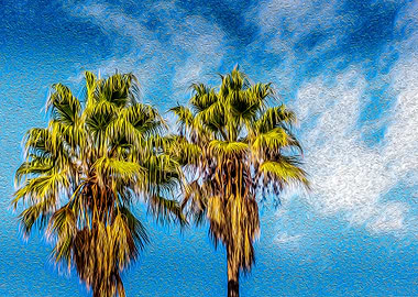 Palm Trees