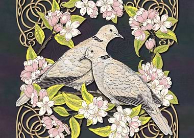Collared Doves in Blossom