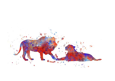 Lions in love