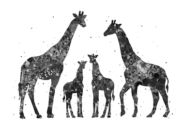 Giraffe family