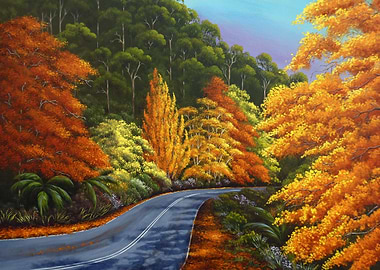 Autumn in the Dandenongs