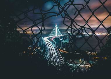 Wire Mesh and lights