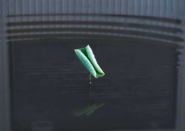 Dance of the Lotus Shadow