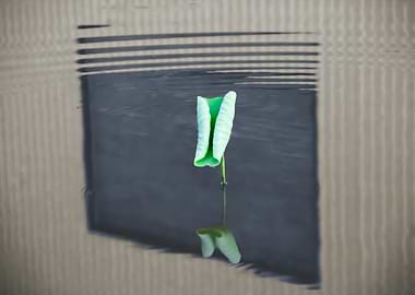 Dance of the Lotus Shadow