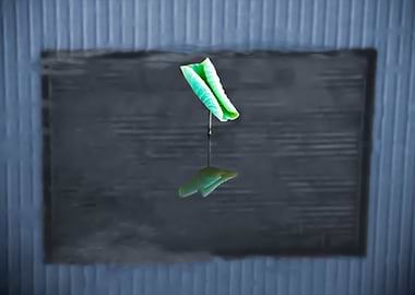 Dance of the Lotus Shadow