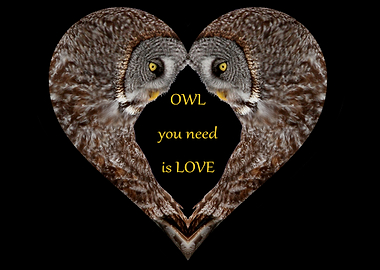 OWL you need is LOVE