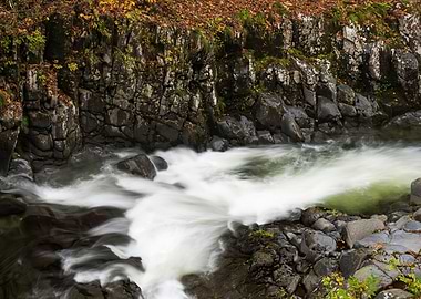A stream full of autumn