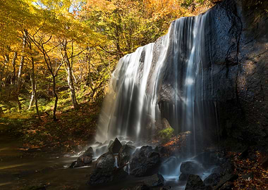 A stream full of autumn