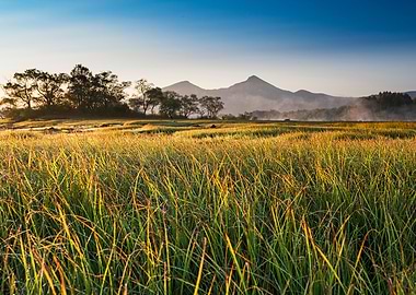 A stream full of autumn