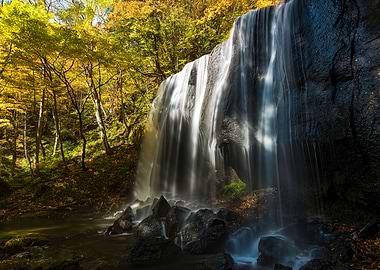 A stream full of autumn