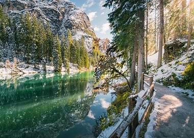 Walkway in winter nature