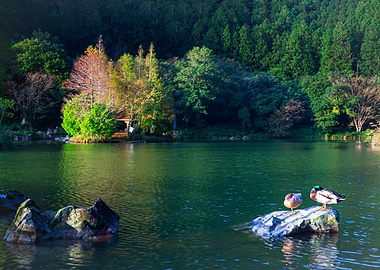 Mingchi Forest Recreation