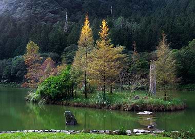 Mingchi Forest Recreation