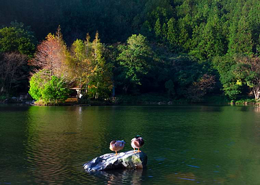 Mingchi Forest Recreation