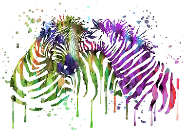 Zebra in love