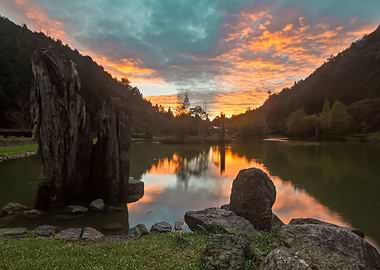 Mingchi Forest Recreation