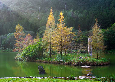 Mingchi Forest Recreation