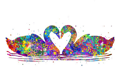 Swan love