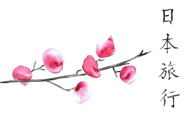 Cherry blossom flower