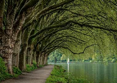 Hardenbergufer Balendeysee