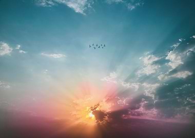 cloud black fly yellow