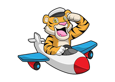 Tiger Pilot Plane