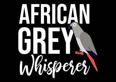 African Grey Parrot Whispe