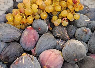 Figs and grapes 02
