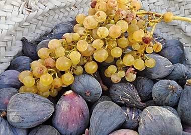 Figs and grapes 03