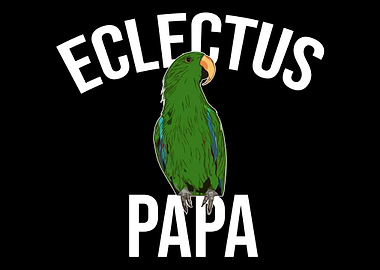 Eclectus Papa Parrot Bird