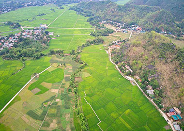 Paddy fields in Mai Chau