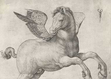 Pegasus
