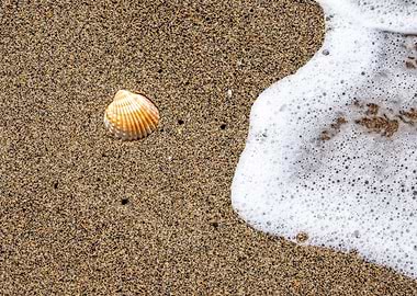 Sea wave on sandy beach