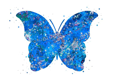 Butterfly blue