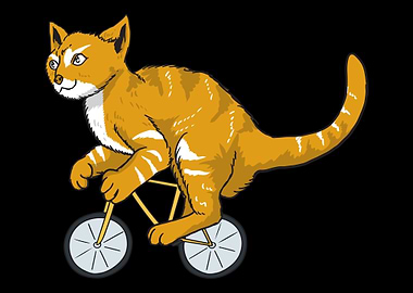 Cycling Cyclist Cat