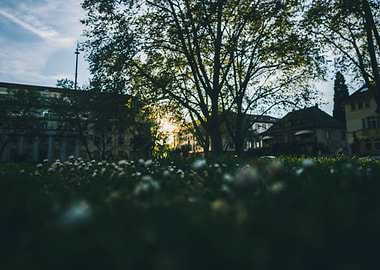 Sunset in Citypark