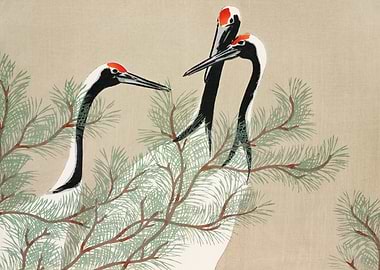 Redcrowned cranes vintage