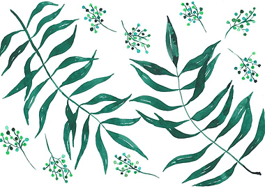 Acacia tree leaves