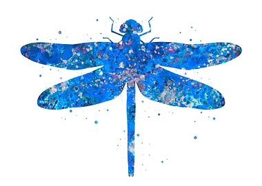 Dragonfly blue