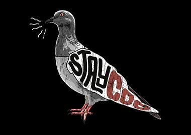 Stay Coo Pigeon Lover Pres