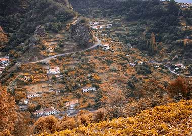 Portugal island, landscape