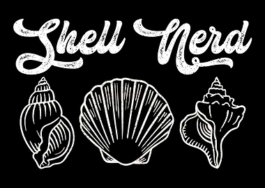 Seashell Collector Sea