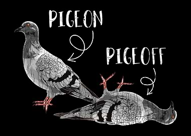 Pigeon Pigeoff Apparel Pig