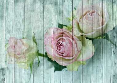Floral Art of Roses