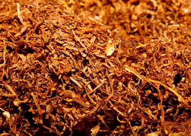 Rolling tobacco wallposter